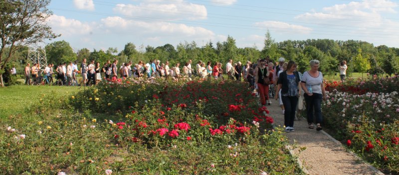 CHODŹ DO PARKU. JEST WTOREK. // Stare i nowe