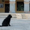 CHODŹ DO PARKU. JEST WTOREK. // Stare i nowe