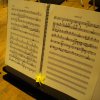 KONCERT "Kwiaty Polskie" dla Marka Edelmana