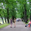 Noc Świętojańska w Helenowie z Tuwimem w tle