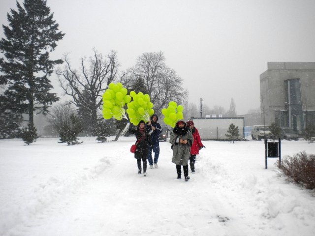 KOLOROWA TOLERANCJA 2013 - FINAŁ