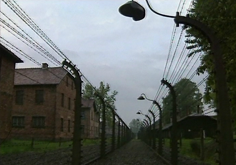  „Auschwitz”, reż. T. Wudzki 